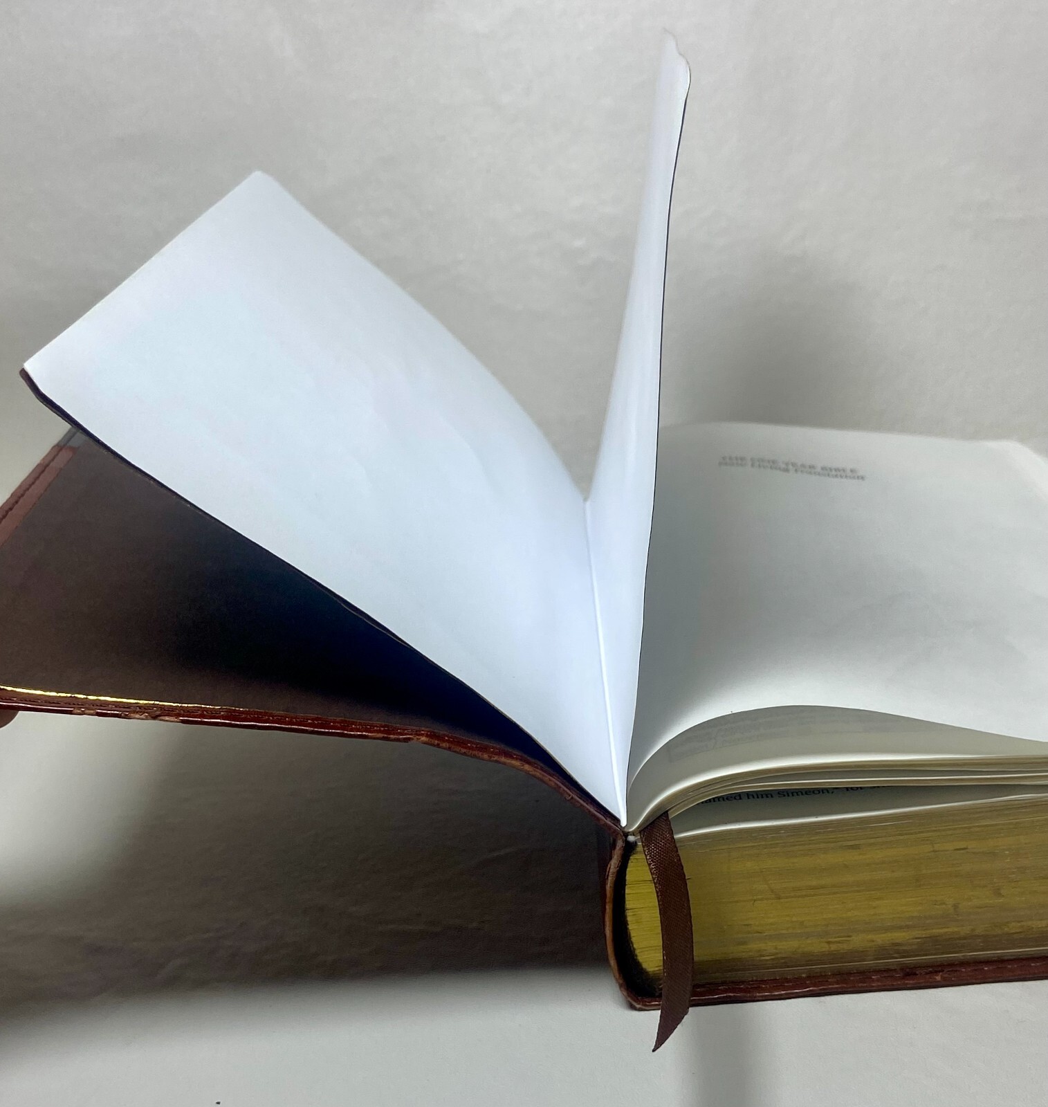 One Year Bible by Tyndale House Publishers Staff 2004, Imitation Leather