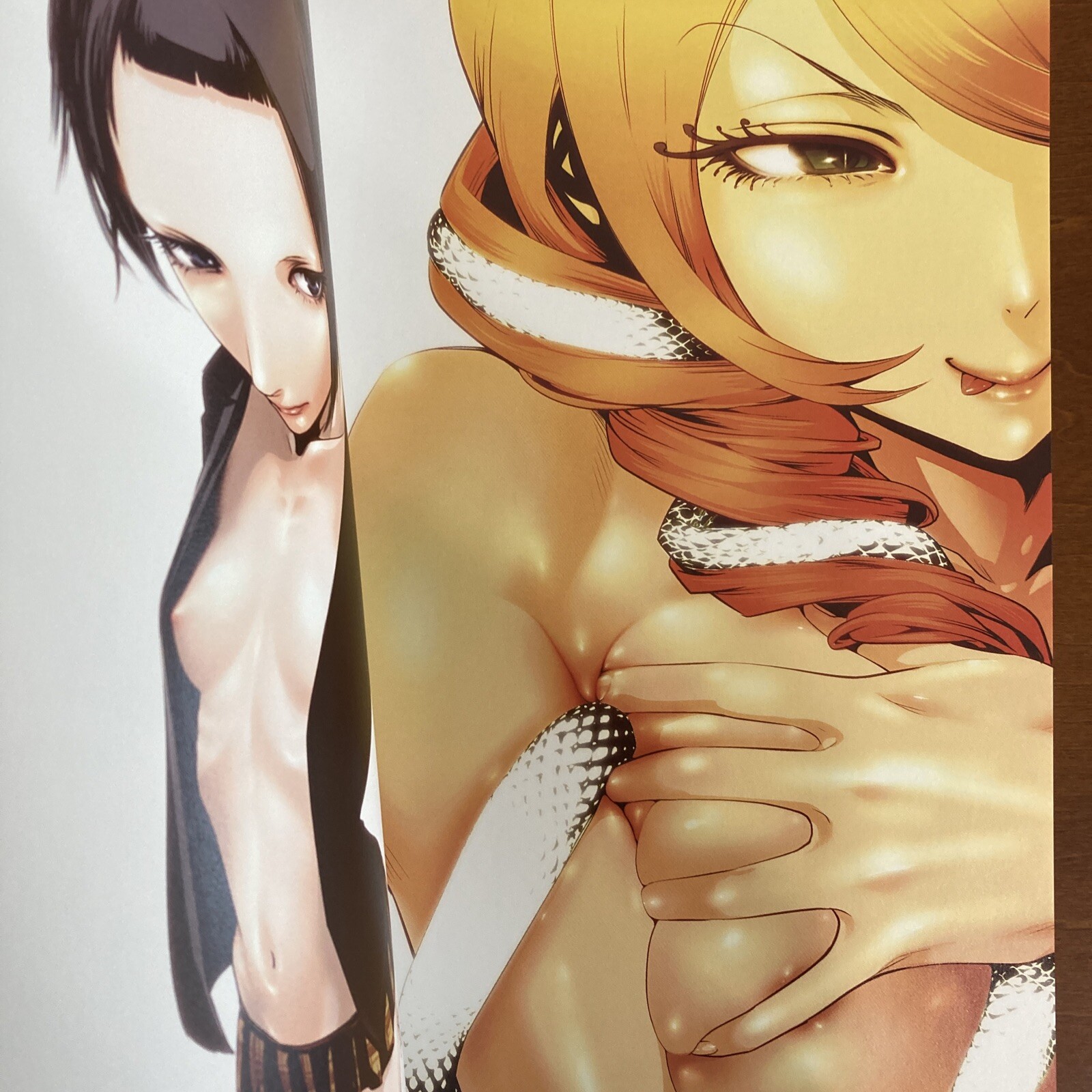Akira Hiramoto Art Book GAMPUKU Prison School Manga Anime Illustration Design