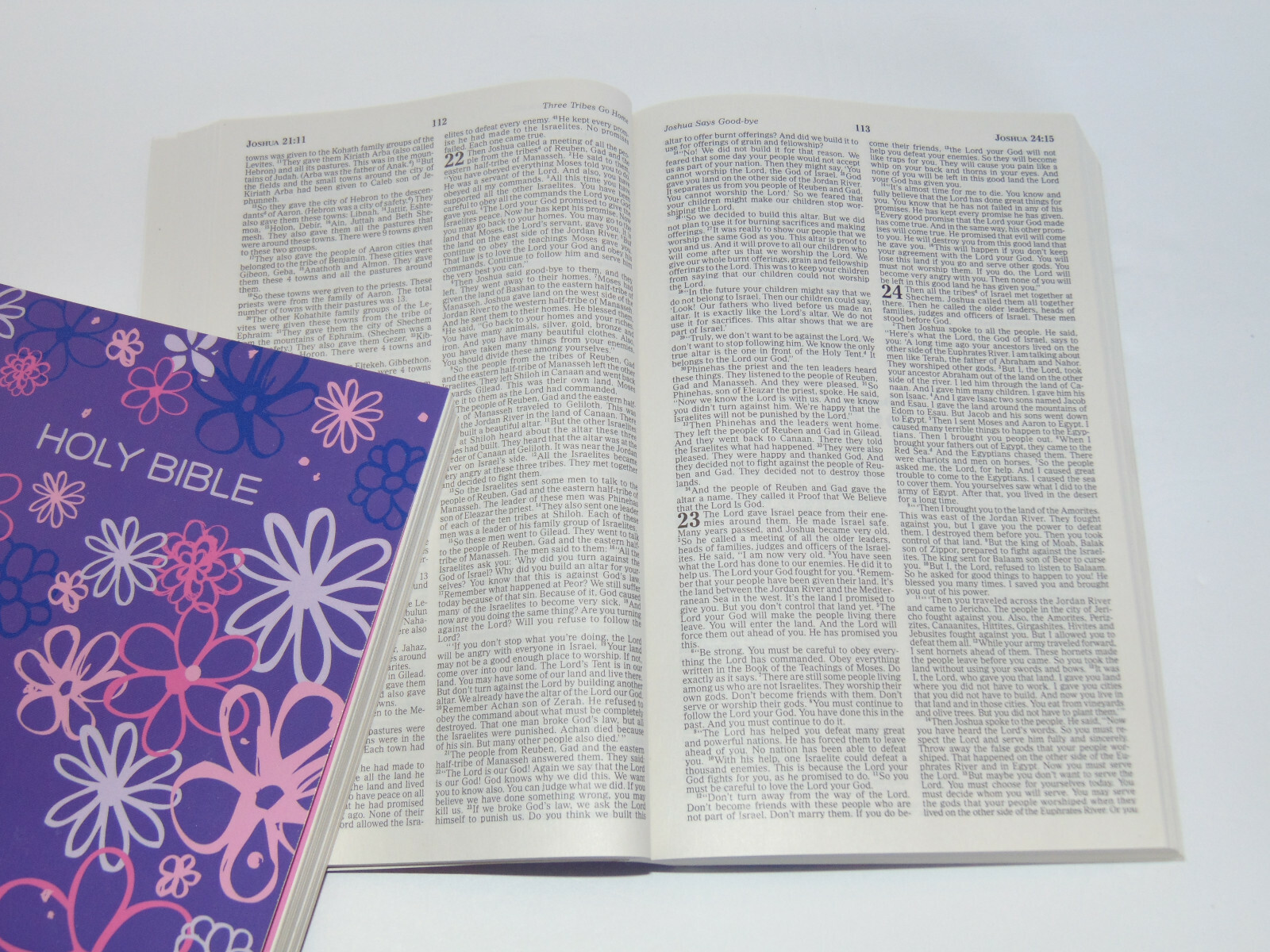 ICB Holy Bible, Purple Cover, International Children’s Bible Ages 7-11 Paperback