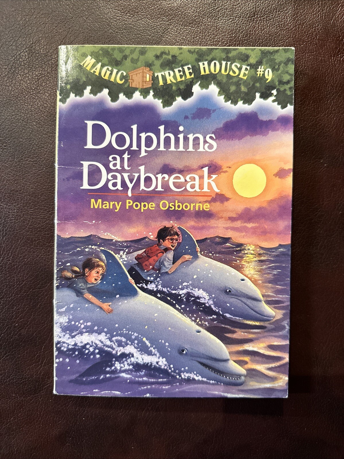 Magic Treehouse Dolphins At Daybreak