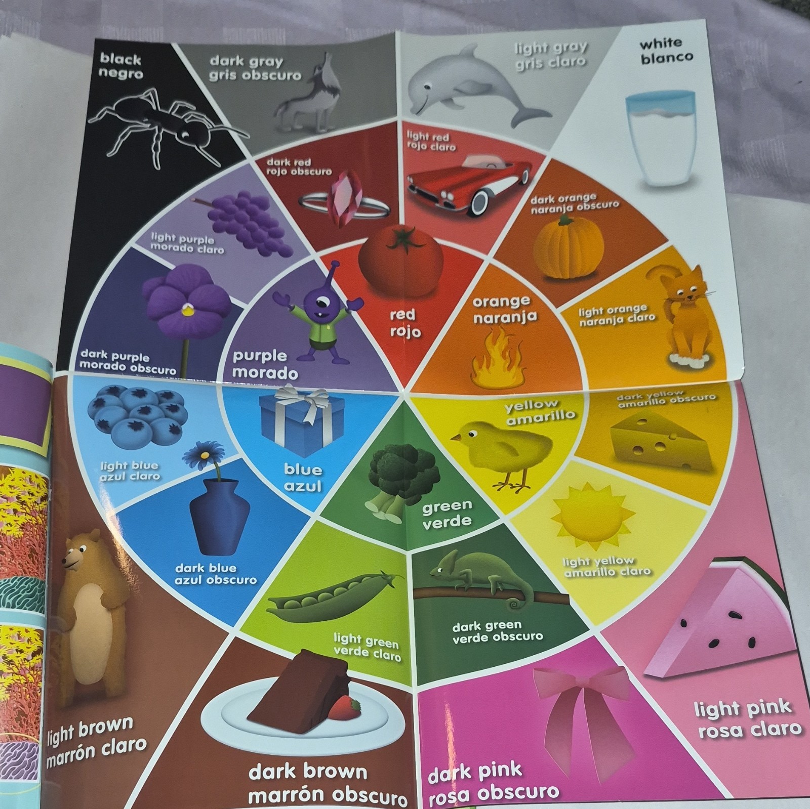 southwestern advantage My Book of Colors Hardcover Bilingual