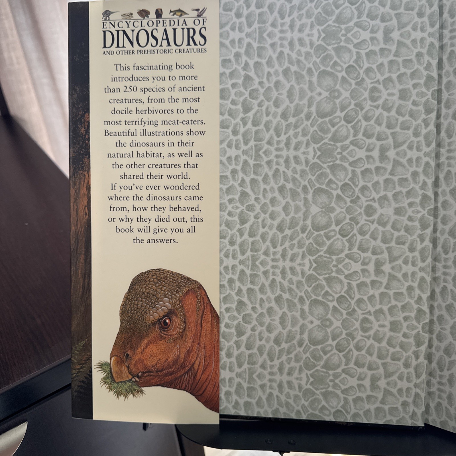 Encyclopedia of Dinosaurs and other Prehistoric Creature | by John Malam HCDJ