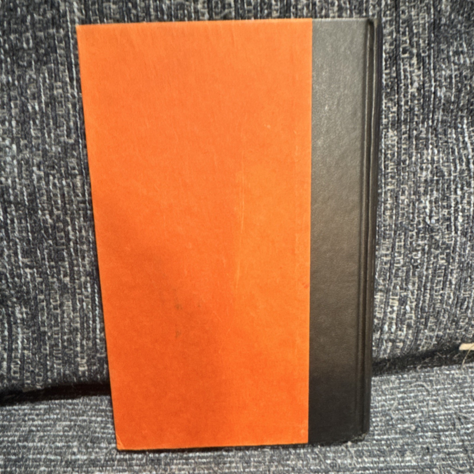 Stephen King Cujo Hardcover Viking Fiction Novel English Adult 1st Print 1981