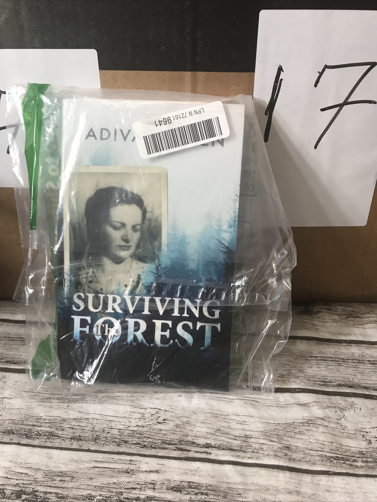 Surviving The Forest (A WW2 Historical Novel, Based on a Tru… by Geffen, Adiva