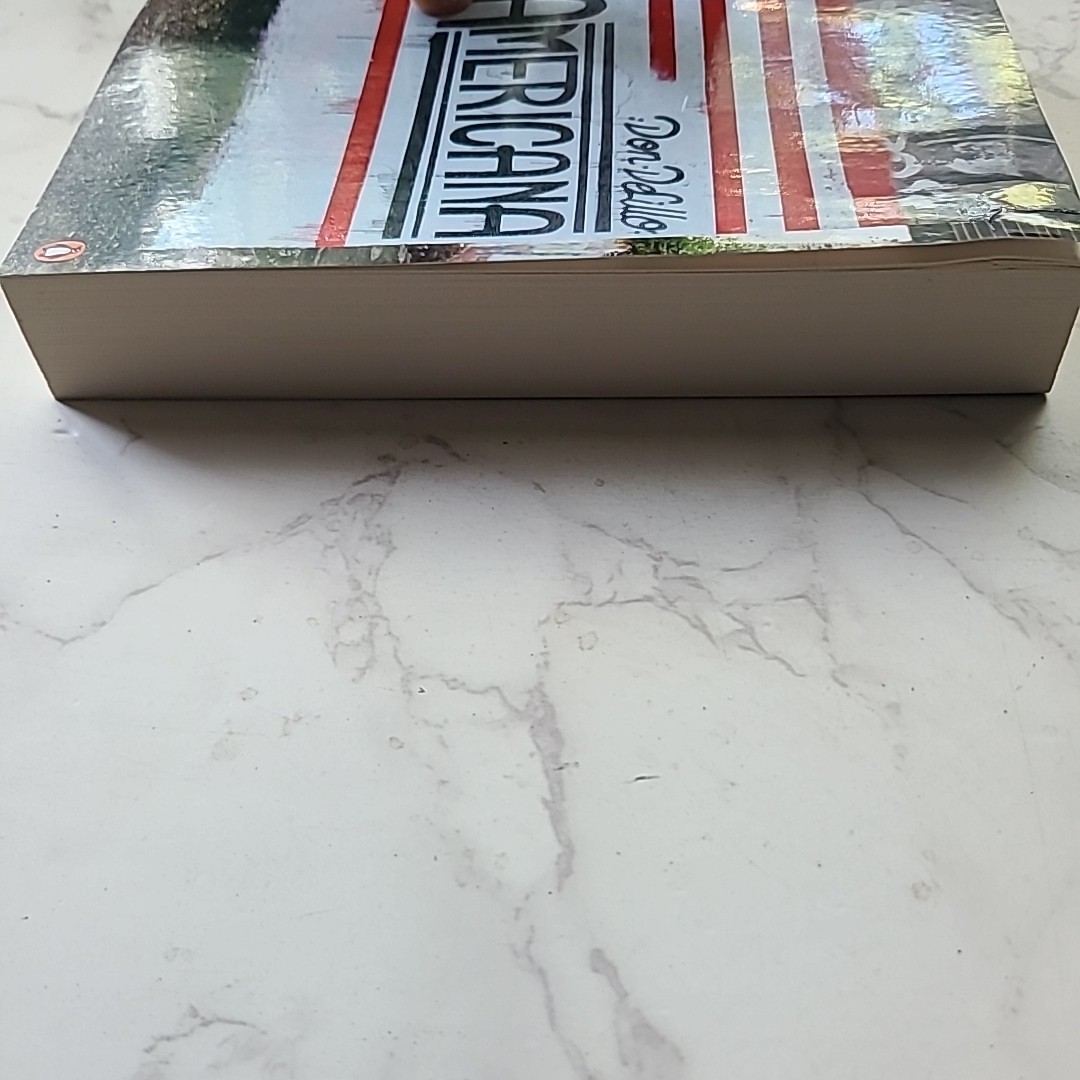 Americana by Don DeLillo NEW Paperback Book 2013 Fiction 377 pages MANY pictures