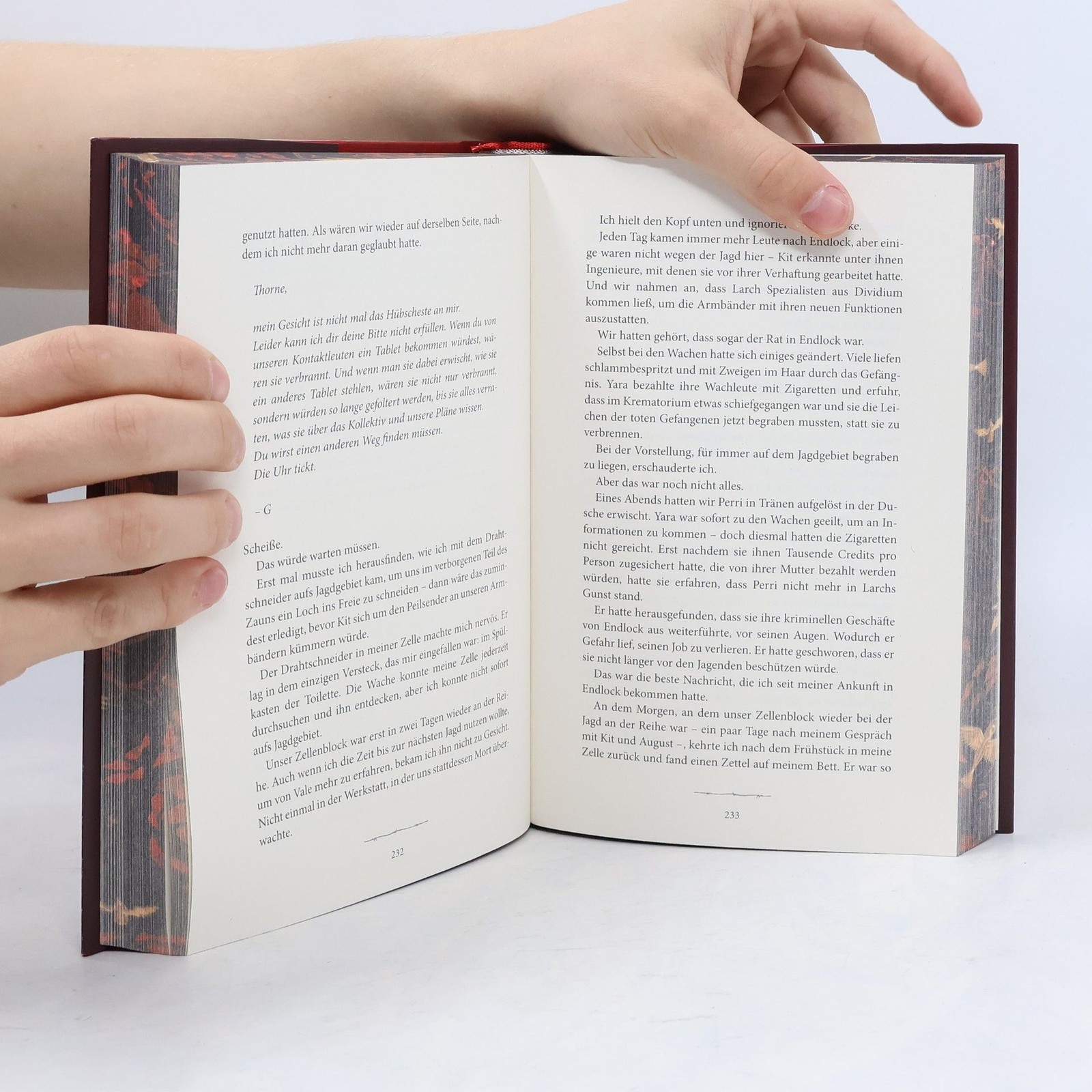 To Cage a Wild Bird  |  Brooke Fast
