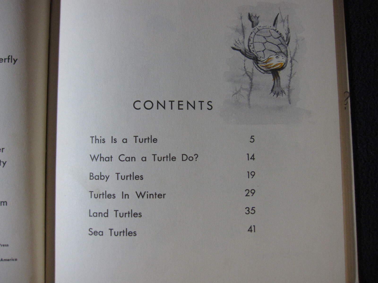 What is a Turtle [Hardcover] Gene Darby and Lucy and John Hawkinson