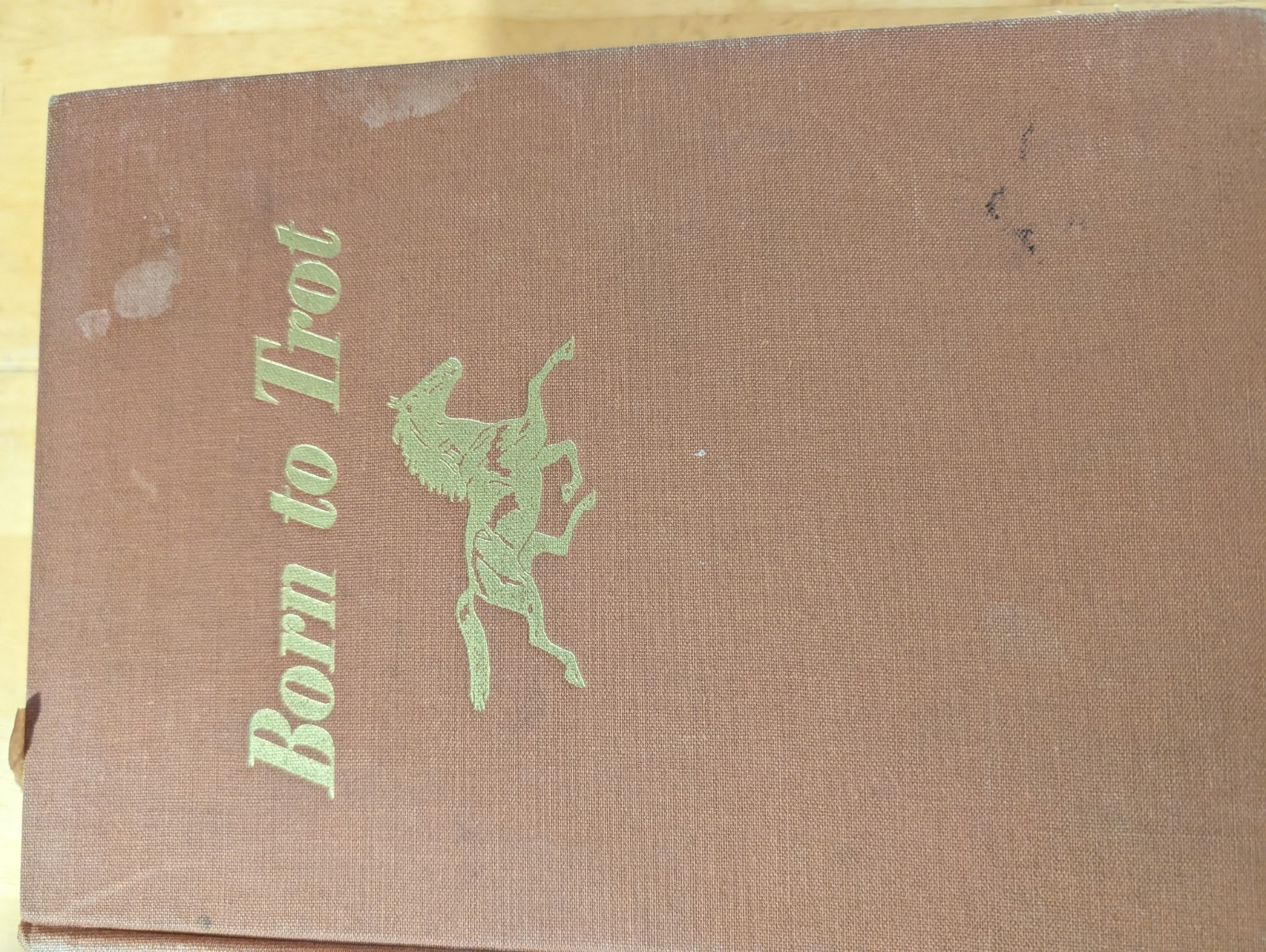 SIGNED Born to Trot Marguerite Henry Lot 5 Vintage Hardcover Books Wesley Dennis