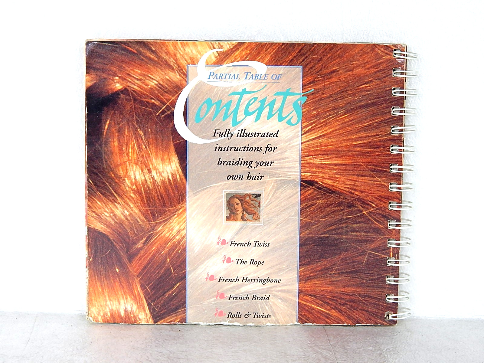 Hair-A Book of Braiding and Styles by Anne Akers Johnson Klutz Vtg