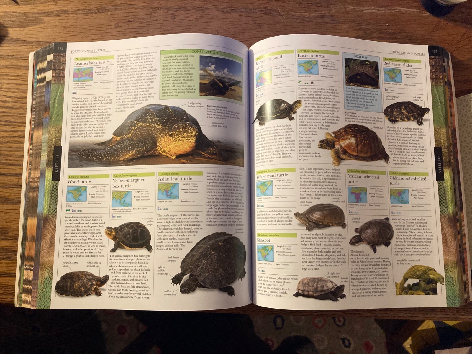Smithsonian Institution Animal : The Definitive Visual Guide to the World’s…