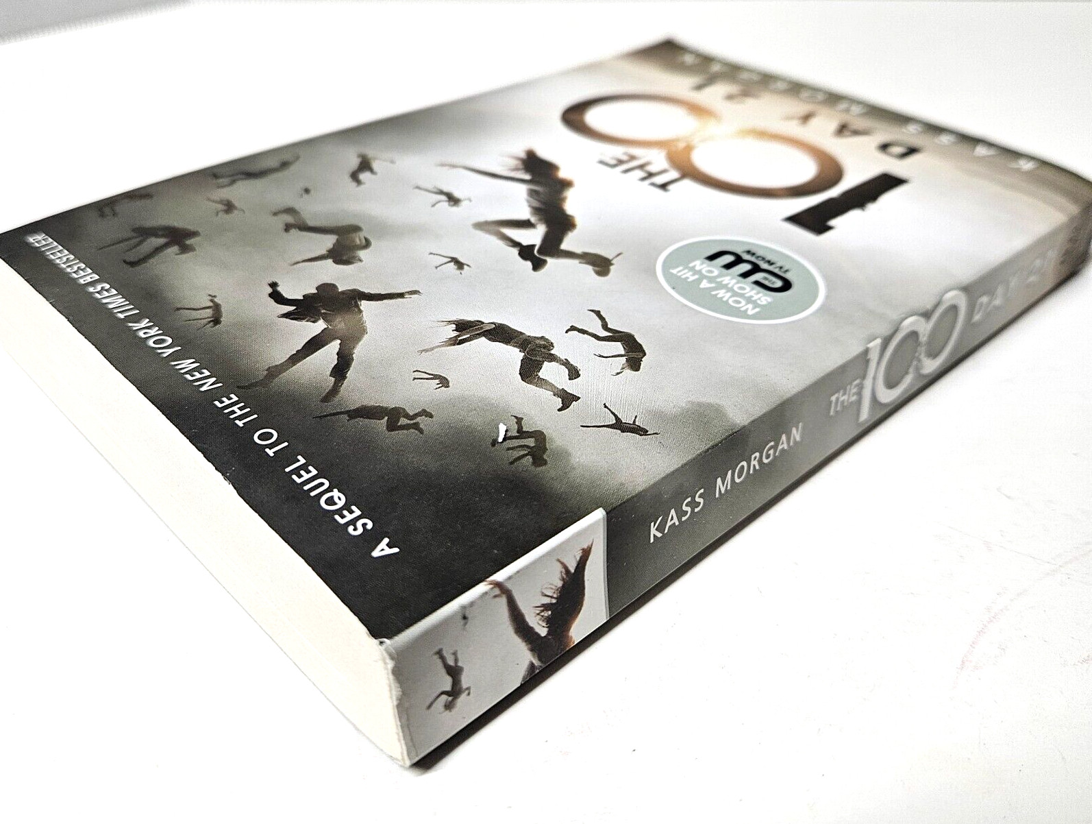 The 100 & The 100: Day 21 by Kass Morgan Trade Paperback