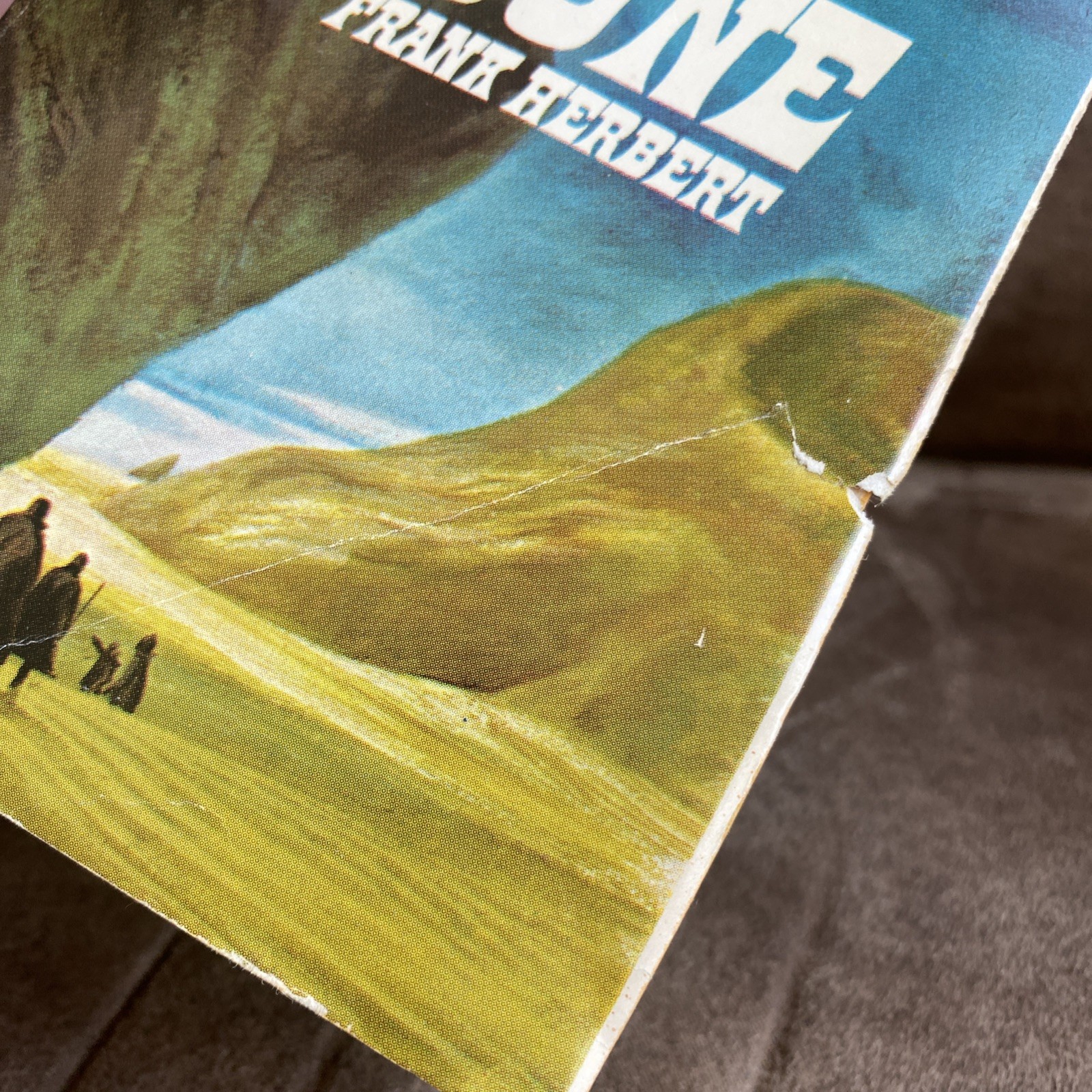 DUNE Frank Herbert 1965 vintage paperback $1.25 Ace Book 17261