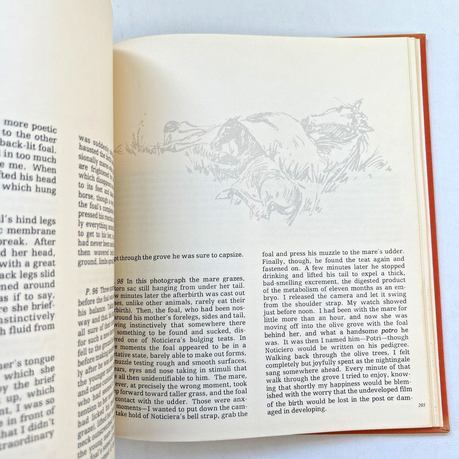EQUUS by Robert Vavra – First Edition 1977 Hardcover Vintage