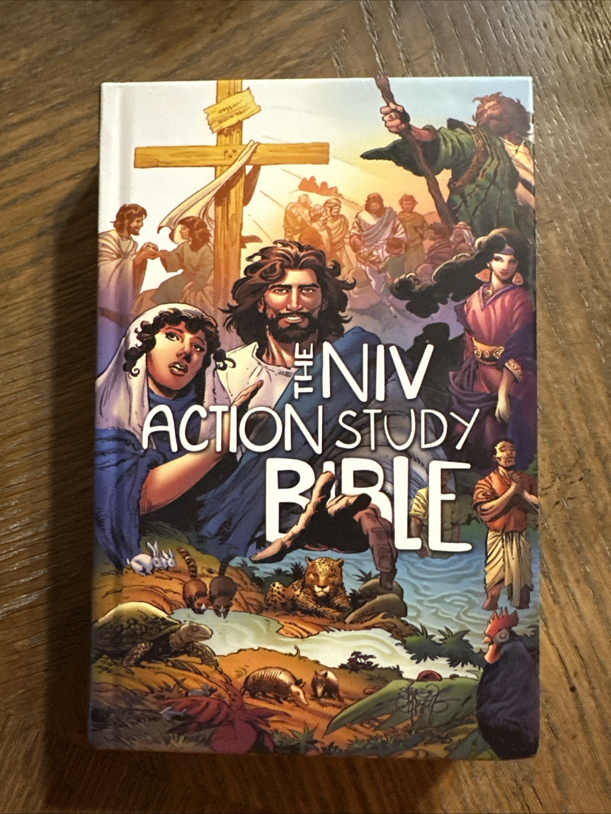 The NIV Action Study Bible by Sergio Cariello First Edition 2018 Used