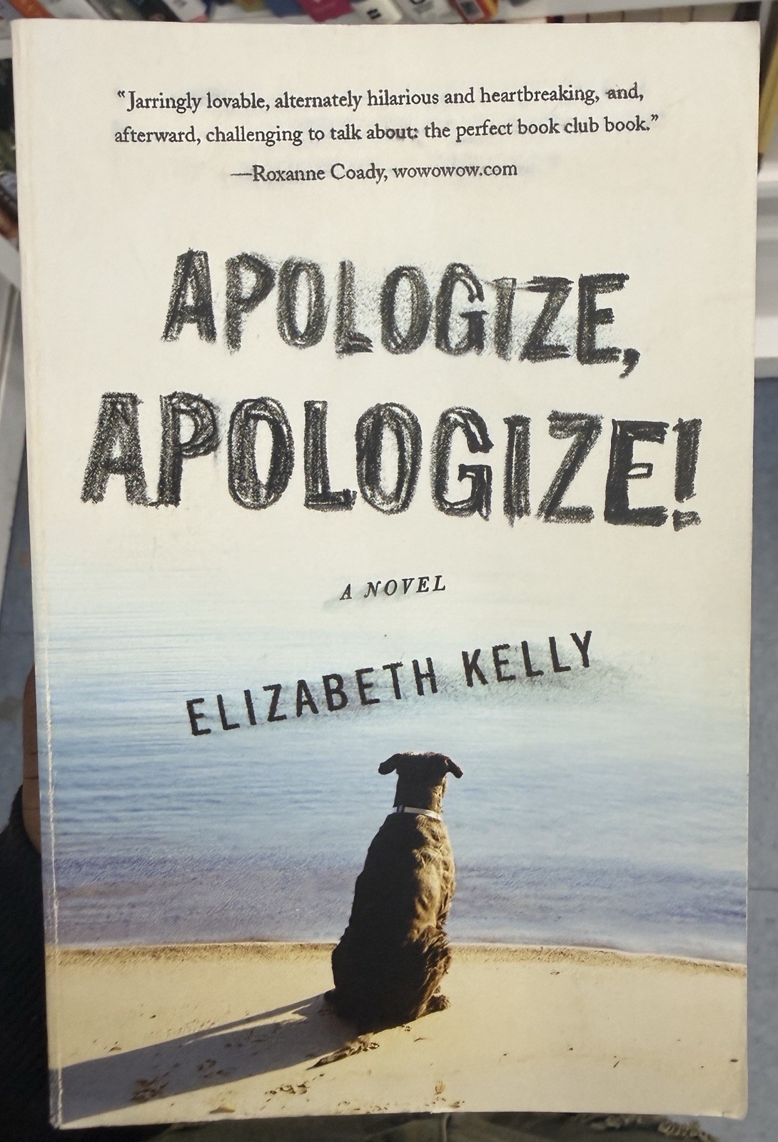 Elizabeth Kelly Apologize, Apologize! Paperback Novel, English Fiction