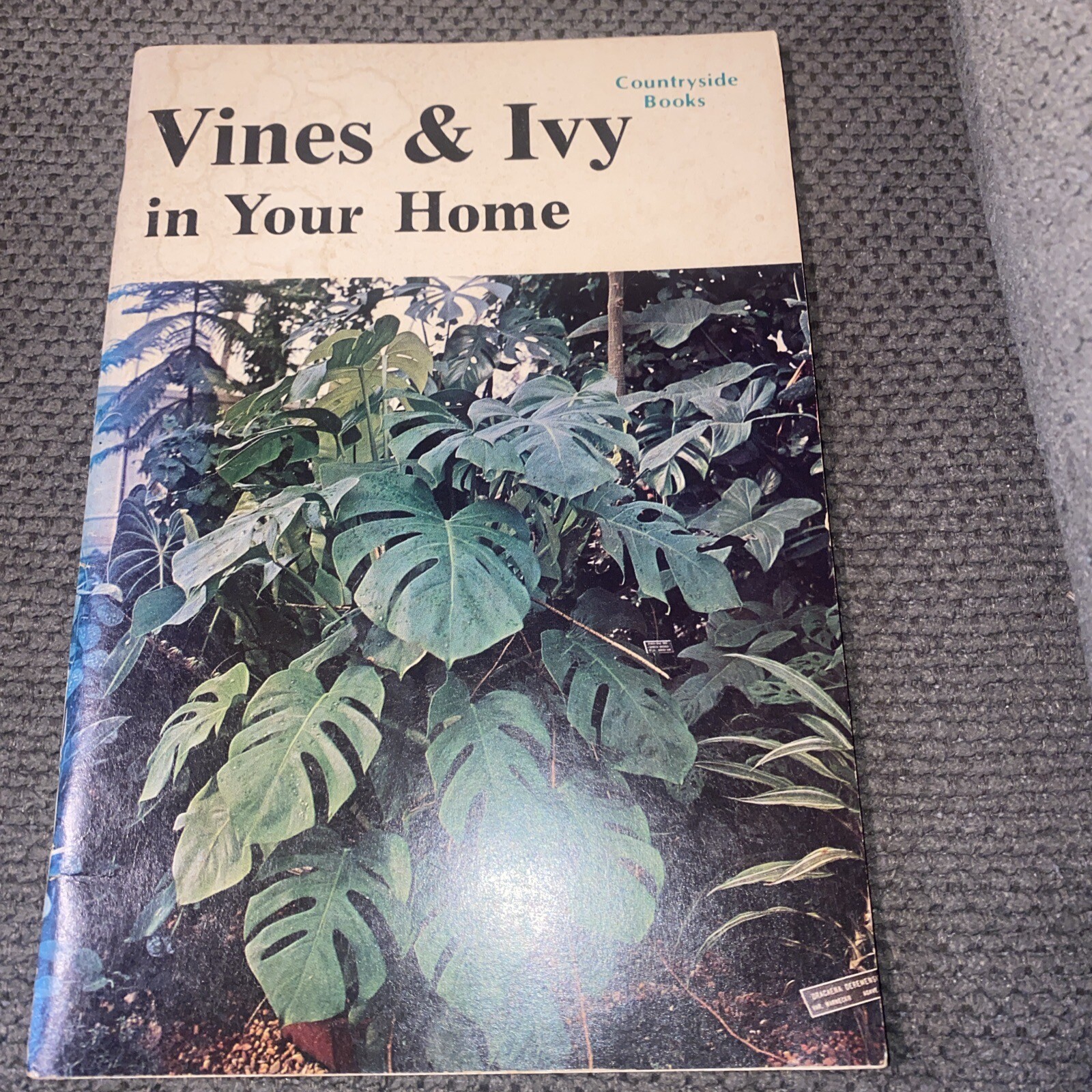 Vines & Ivy in Your Home-Countryside Books (1976, Illustrated, Paperback)