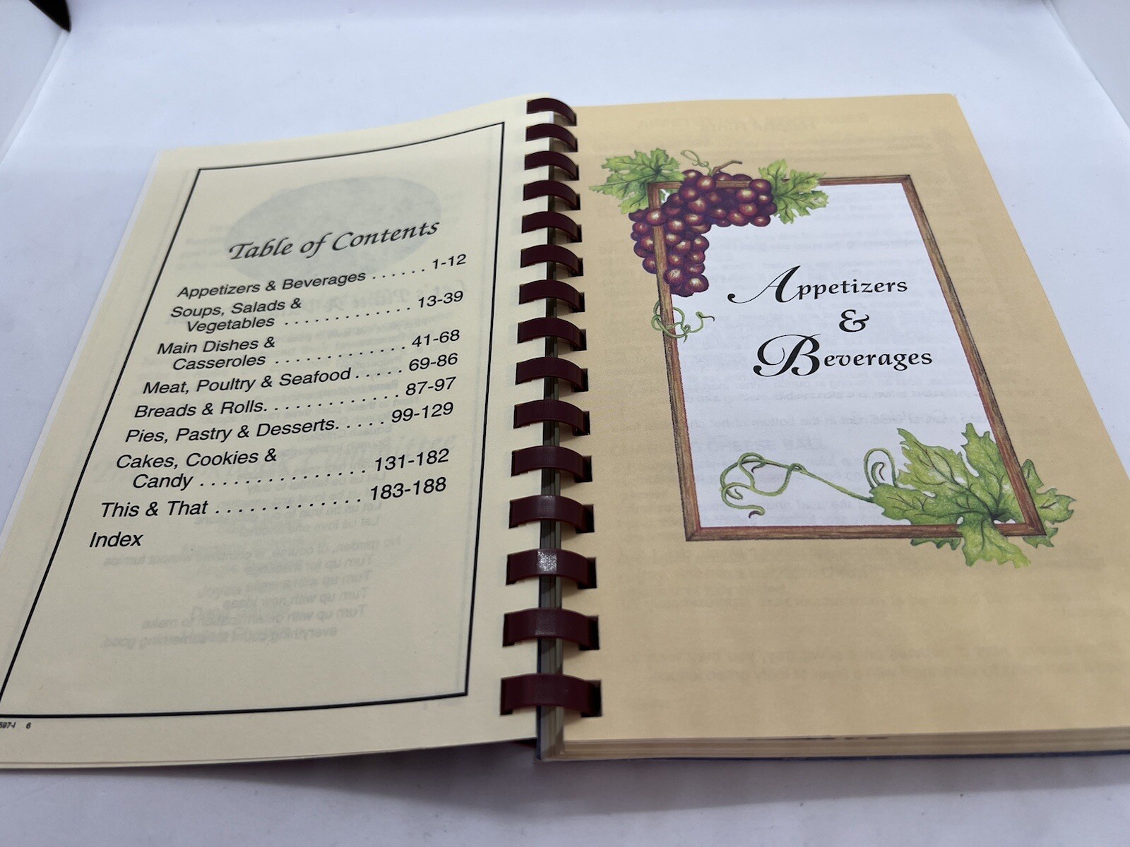 1996 Cookbook “Seasoned With Love” By Village Care Of King 188 Pages King, NC