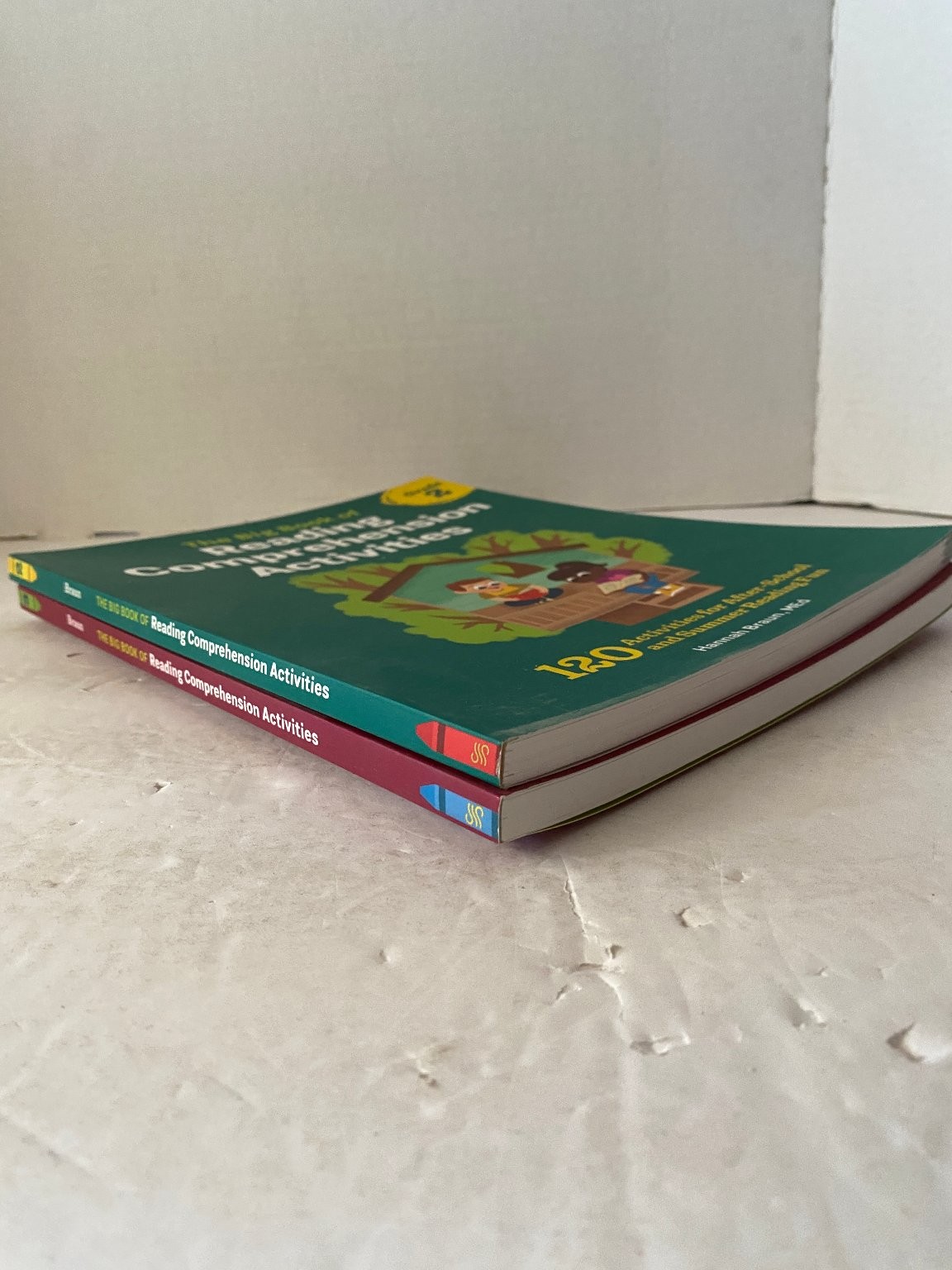 Big Book of Reading Comprehension Activities Grades 2 & 3 Hannah Braun Workbook