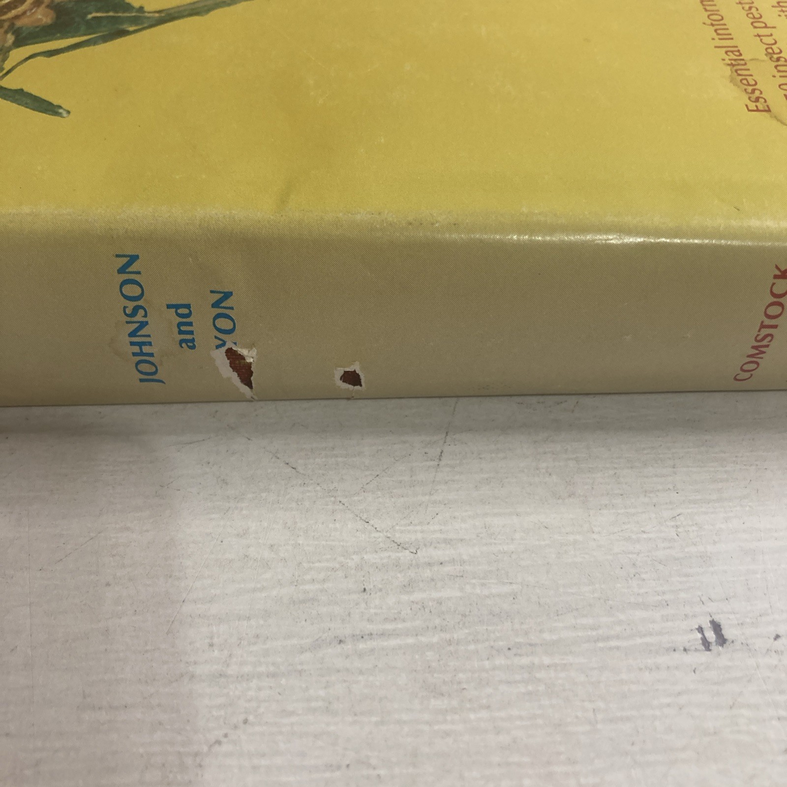 Insects That Feed On Trees and Shrubs by Warren Johnson + Howard H. Lyon HC/DJ