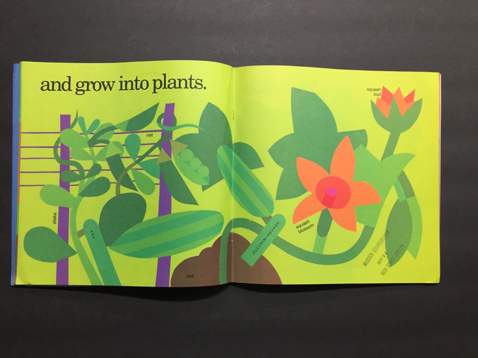 The King Who Rained by Fred Gwynne/Growing Vegetable Soup/Shapes/Numbers