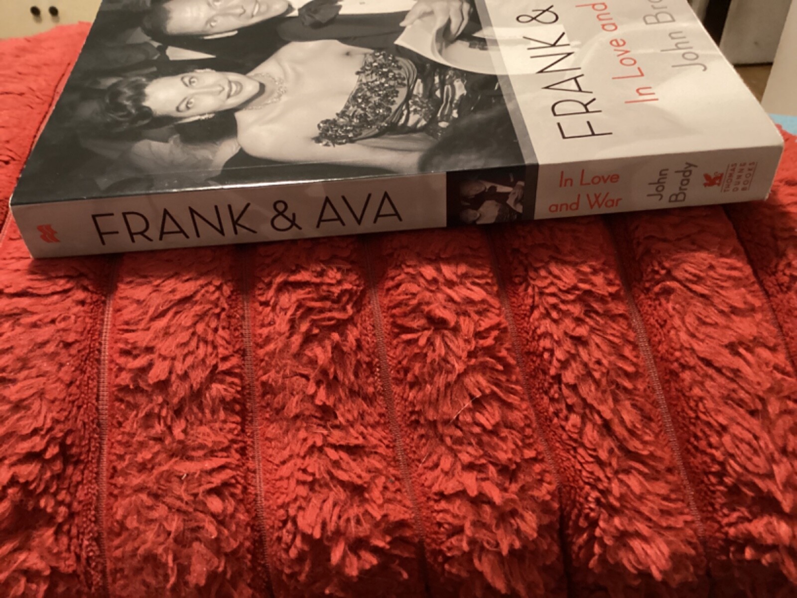 FRANK & AVA-IN LOVE and WAR,2015 PAPERBACK by JOHN BRADY, 292 PAGES/FREE POSTAGE