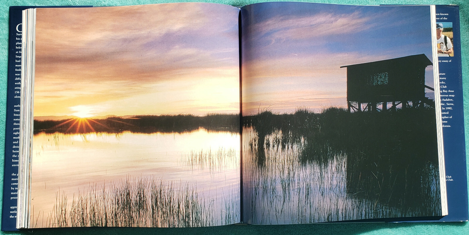 The Winemaker’s Marsh 4 Seasons In A Restored Wetland 2001 Hardcover 166 Pages