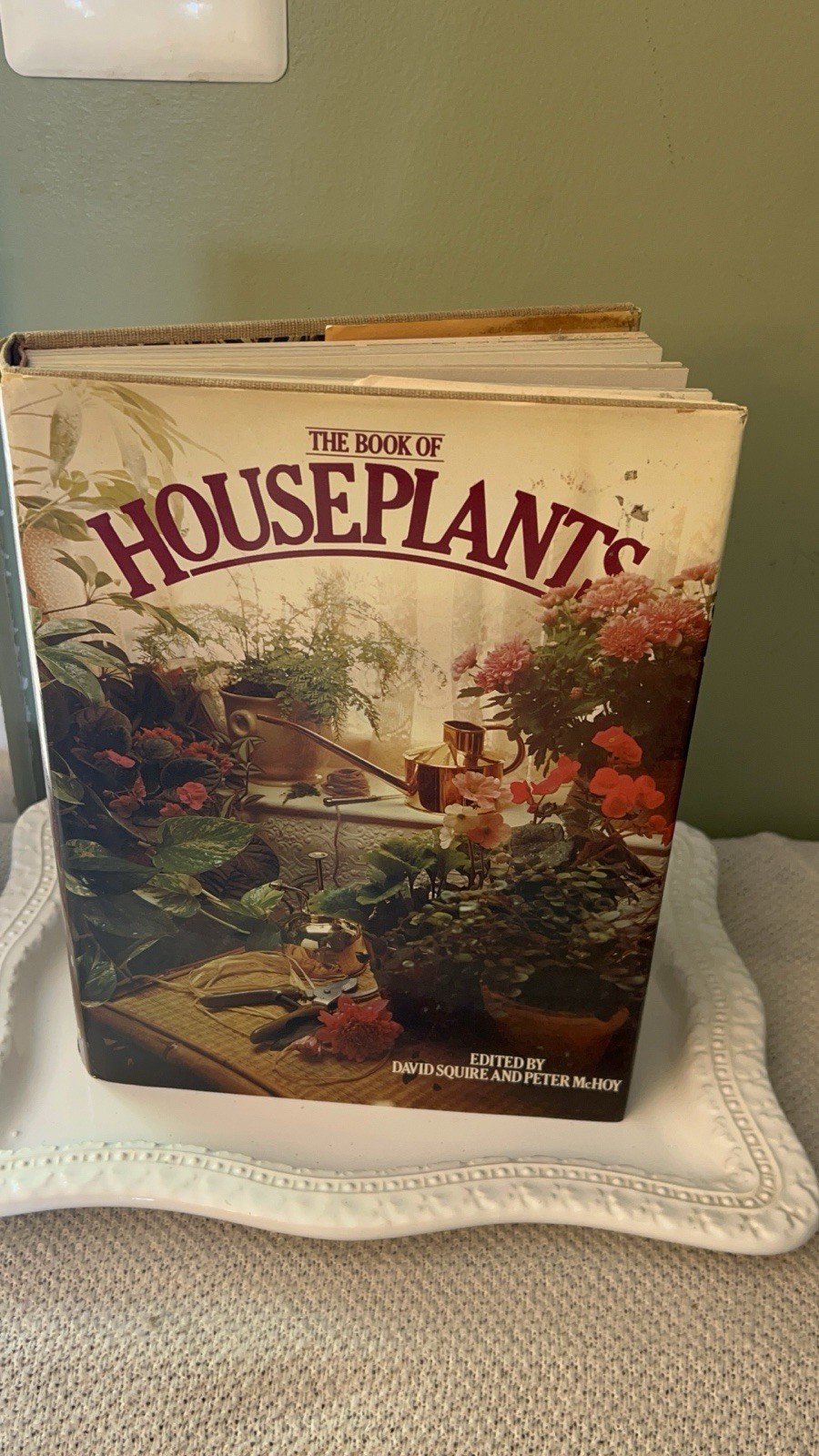 Vintage 1970s Book “The Book of Houseplants” By David Squire and Peter McHoy