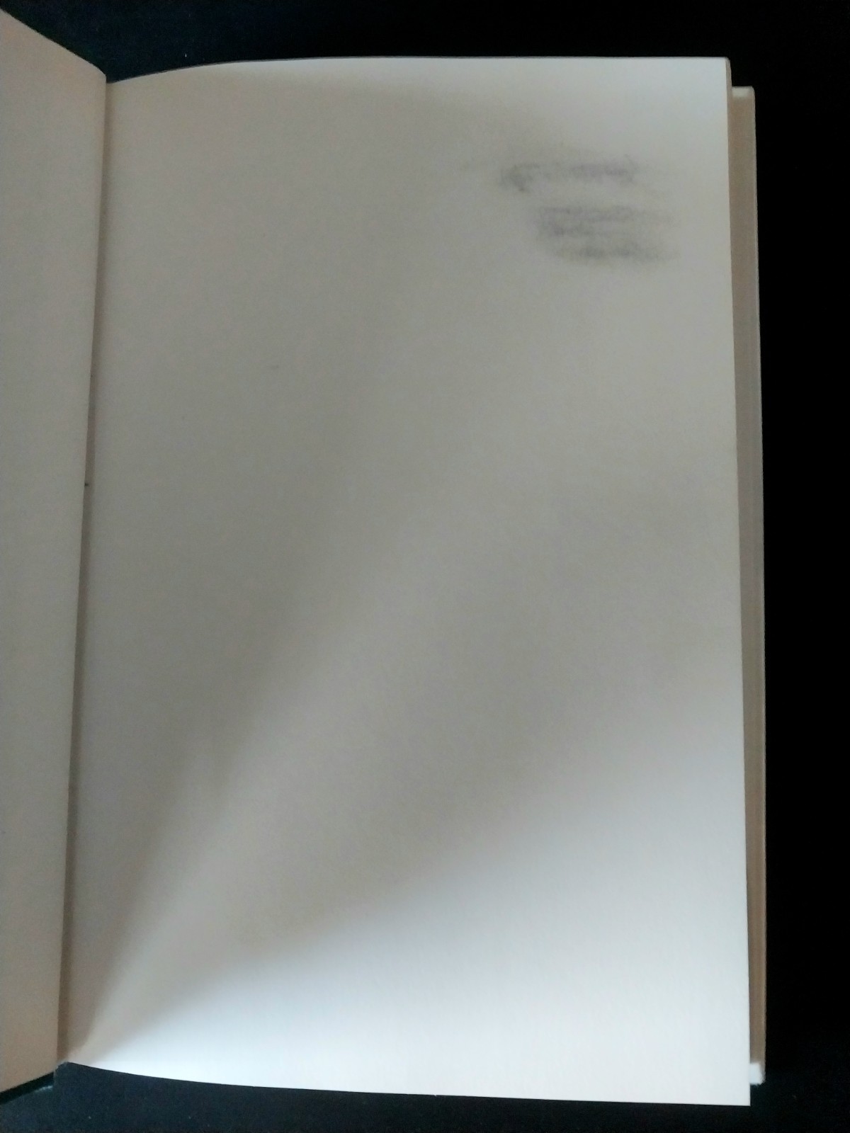 Dennis Cooper – Try – Grove Press First Edition First Printing 1994
