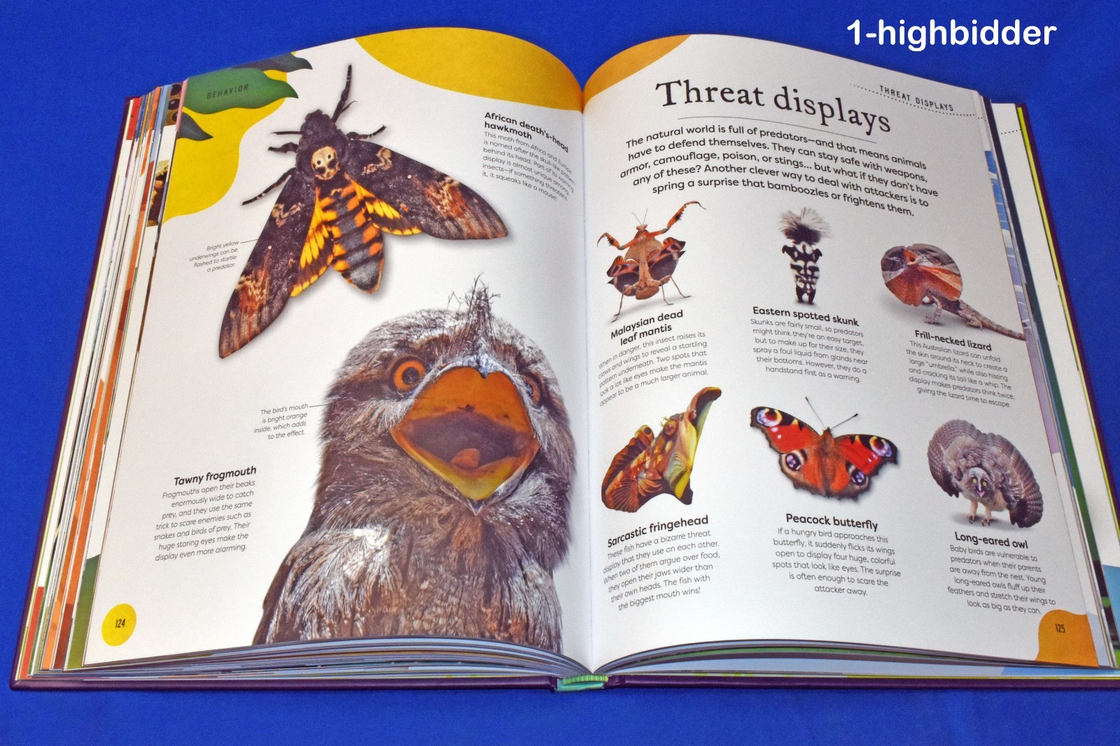 Weird and Wonderful Nature DK Treasures Kids Science Unique Plants Animals