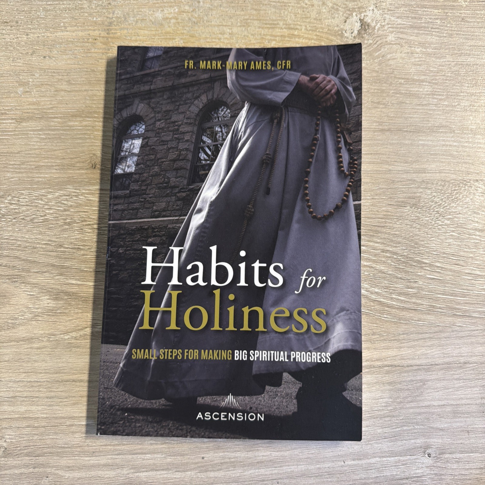Habits for Holiness by Ames Cfr Mark-Mary (2021, Trade Paperback)
