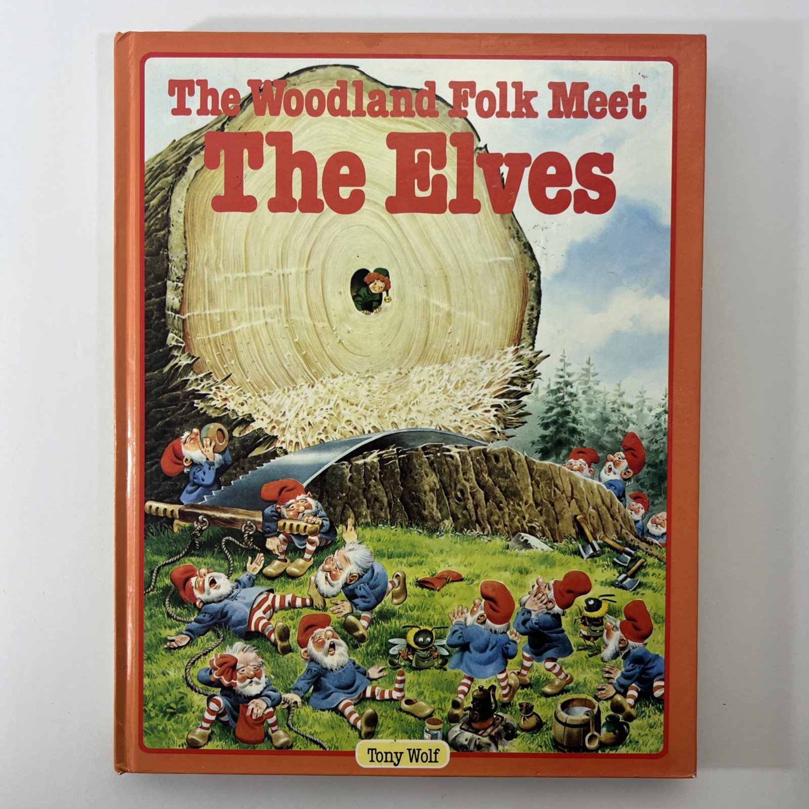 Set of 5 – The Woodland Folk Books – Gnomes Elves Fairies Dragons – Tony Wolf