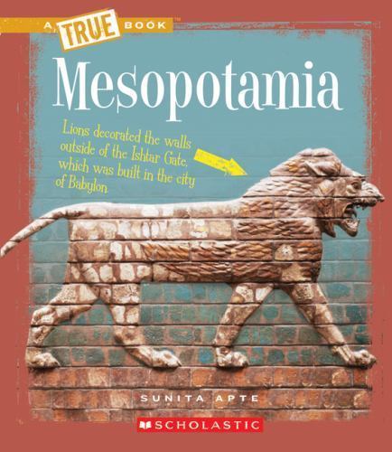 Mesopotamia by Apte, Sunita