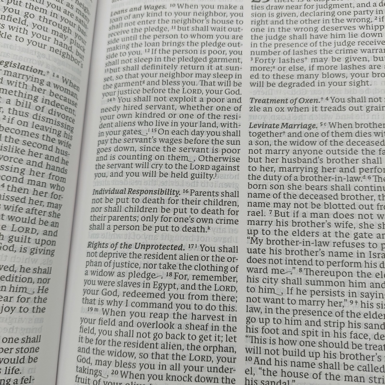Holy Bible New American Revised Edition Large Print By Catholic Bible Press 2011