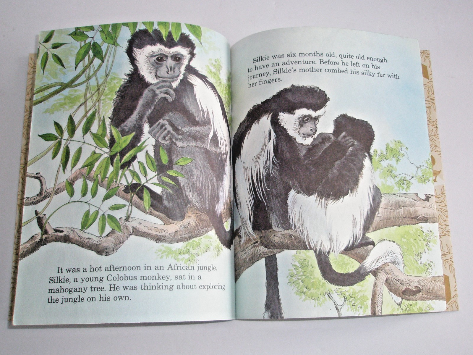 Little Golden Books Day In Jungle A Day At The Zoo 1st Ed #309-56 #88