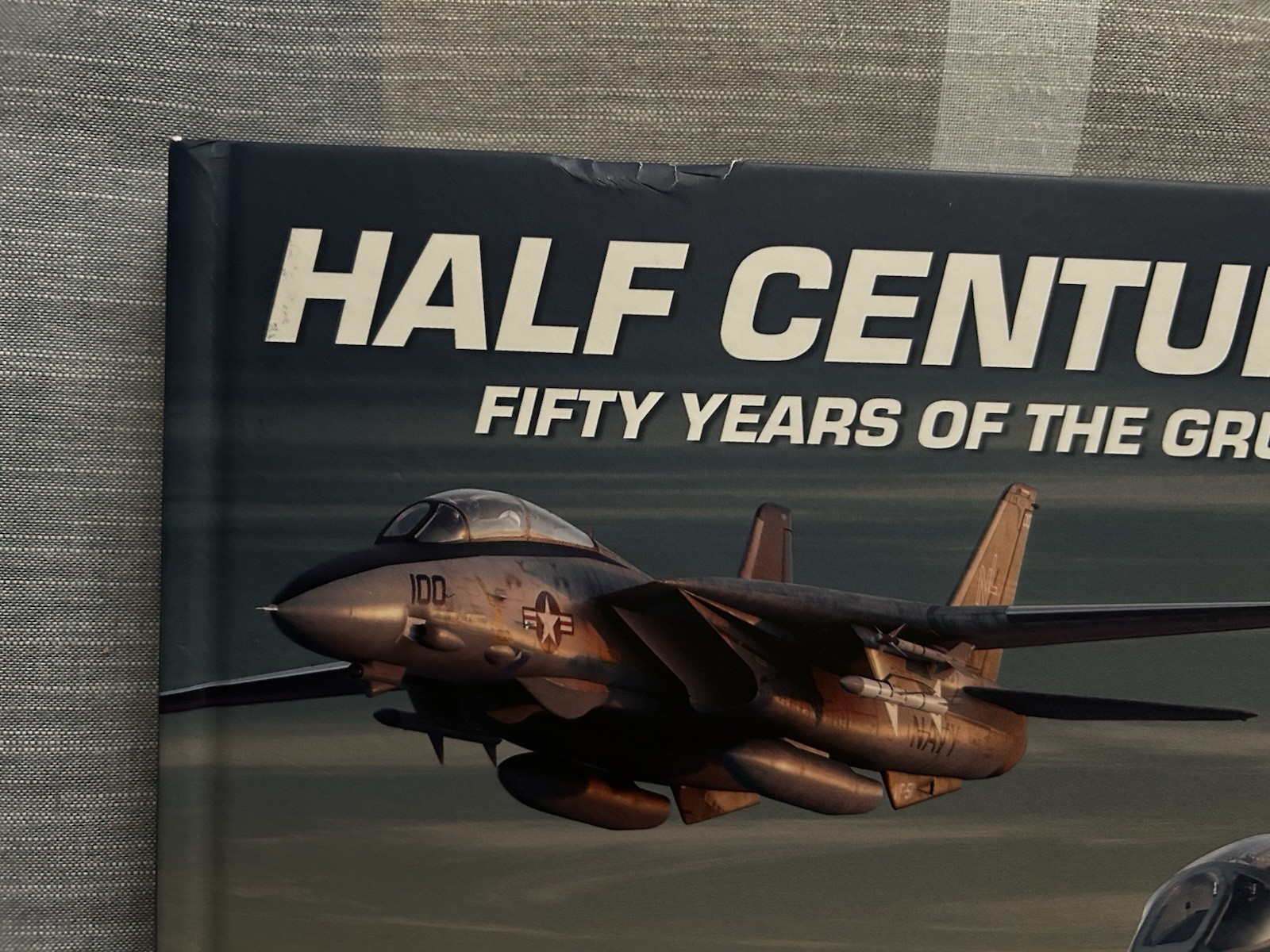Half Century, Baby Fifty Years Of The Grumman F-14 Tomcat Parsons Bangso