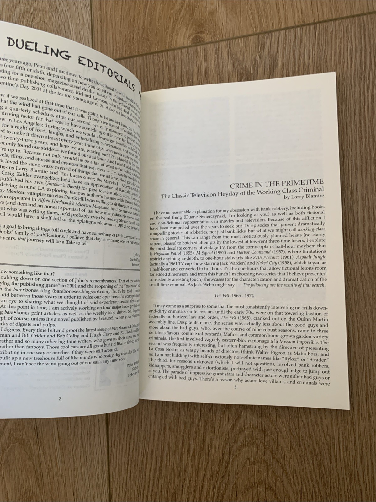 Bare Bones 17 Robles’ Nostradamus! Fanzine History! Schow Splatterpunk Awards!