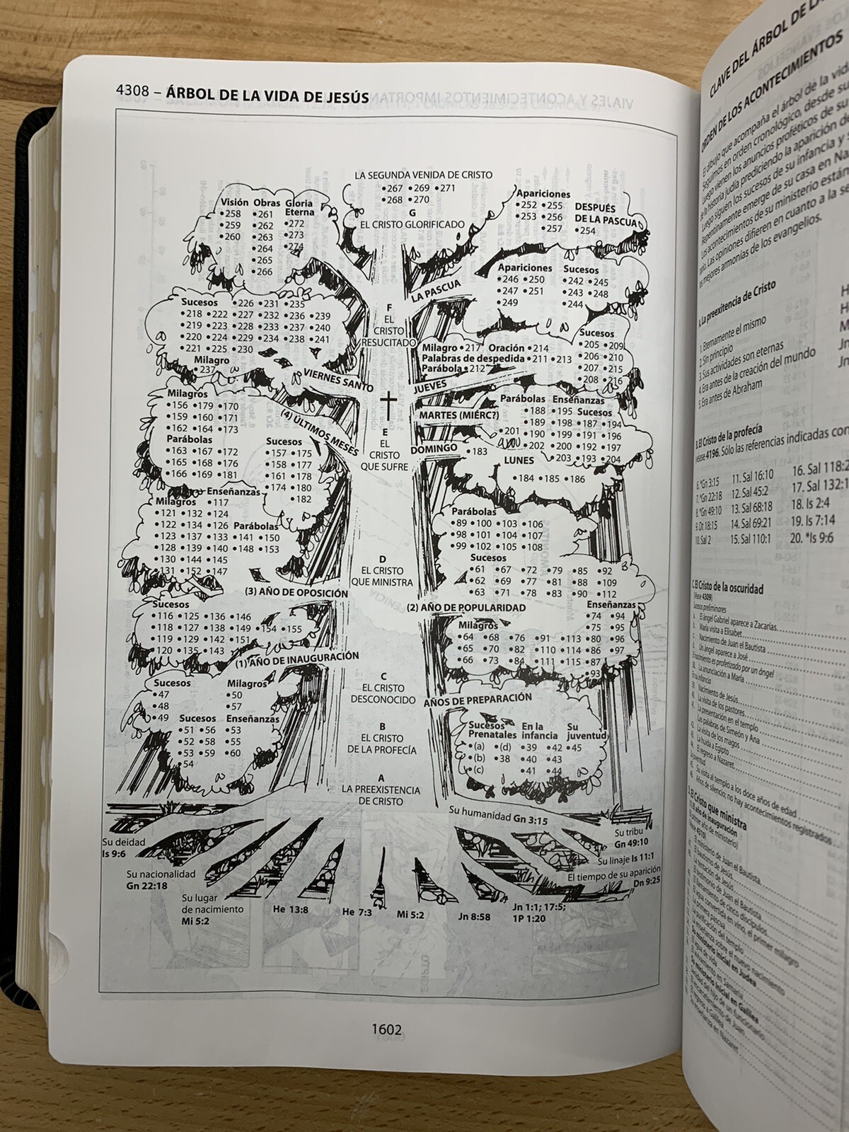 BIBLIA D REFERENCIA THOMPSON REINA VALERA 1960 PIEL FABRICADA CON INDICE NEGRO