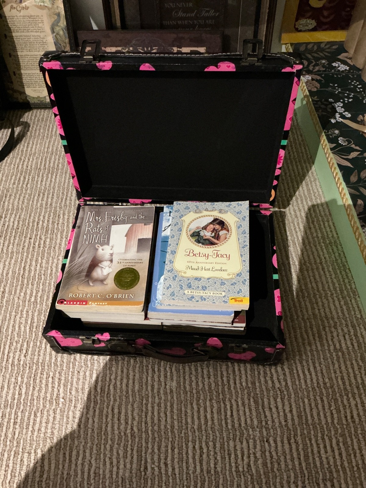 Suitcase LOT of Chapter Books GIRLS interest 12 Various Fiction Adventure—Good
