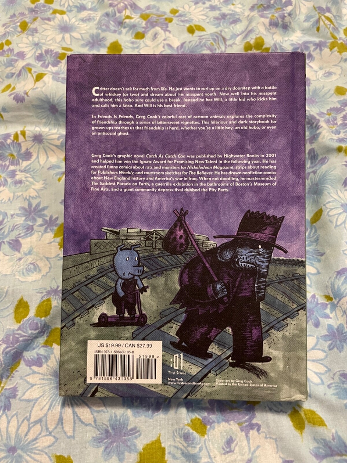 BOOK Friends is Friends Greg Cook First Edition 2016 Graphic Novel Roaring Brook