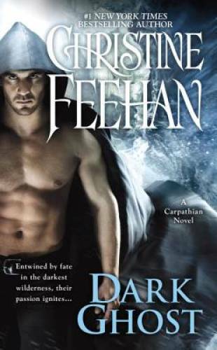 Dark Ghost (Carpathian Novel, A) – Mass Market Paperback – VERY GOOD
