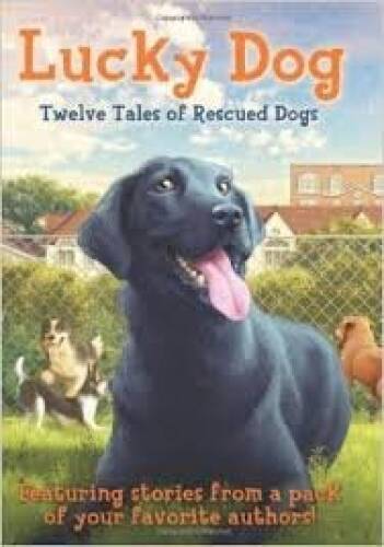 Lucky Dog: Twelve Tales of Rescued Dogs – Paperback By Scholastic Press – GOOD