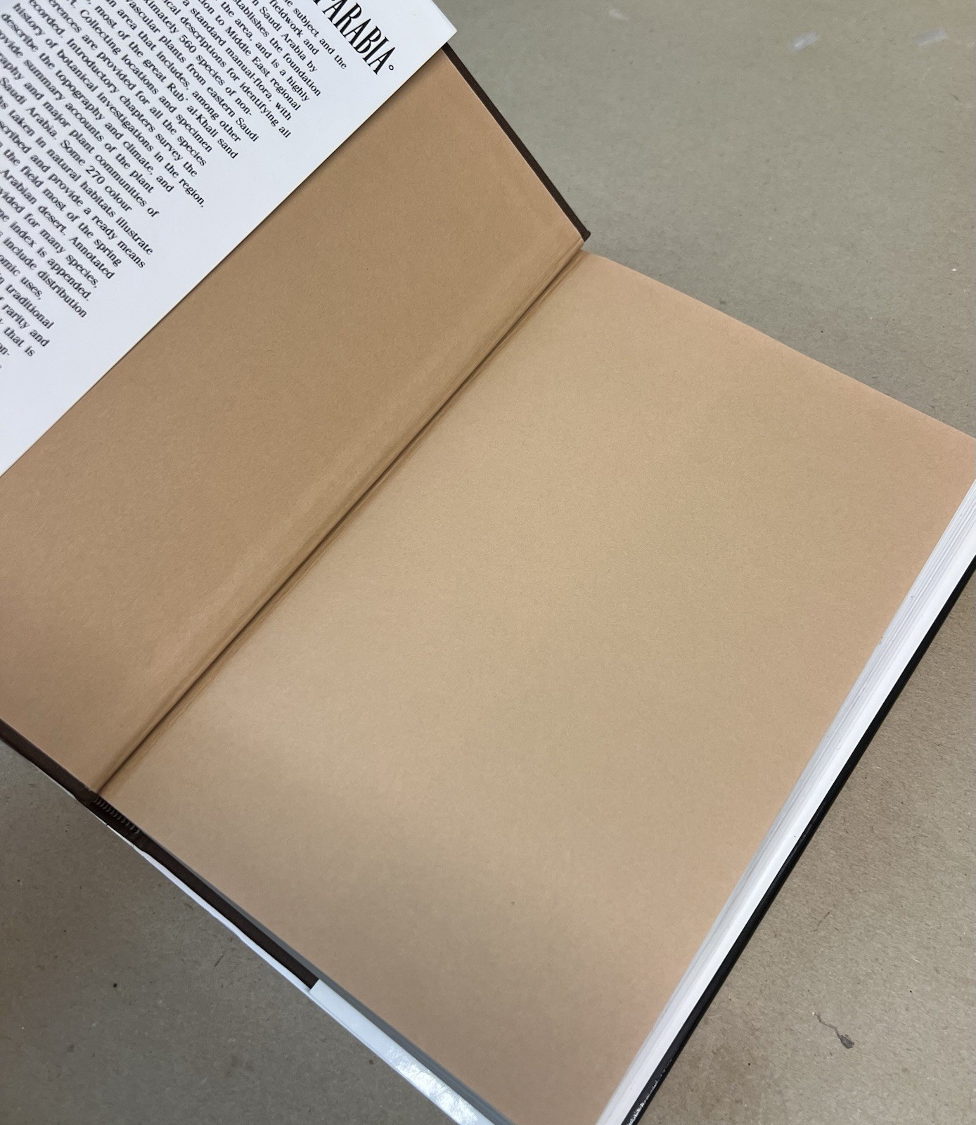 Flora of Eastern Saudi Arabia hardcover book with dust jacket 1st Manadville