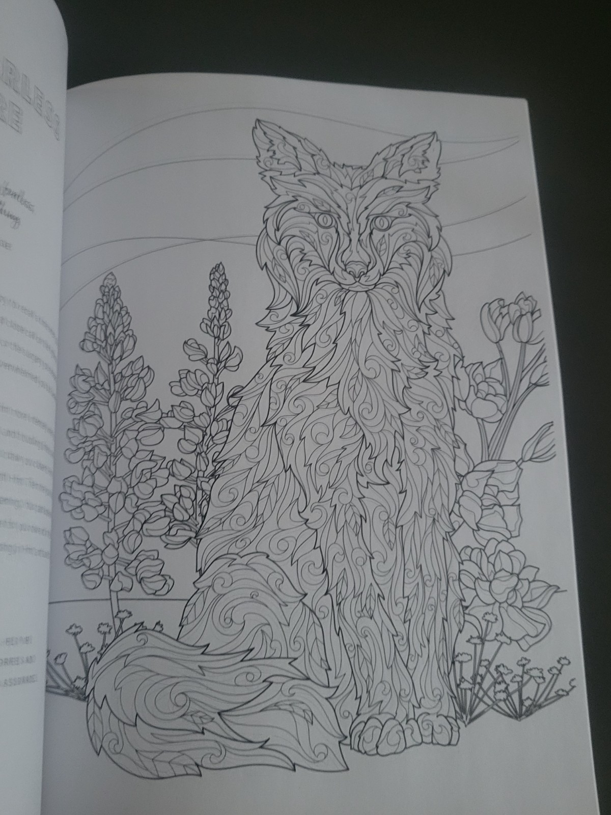 Special Edition Mindful Coloring – Everyday Faith-55 Devotions, Verses & Prayers