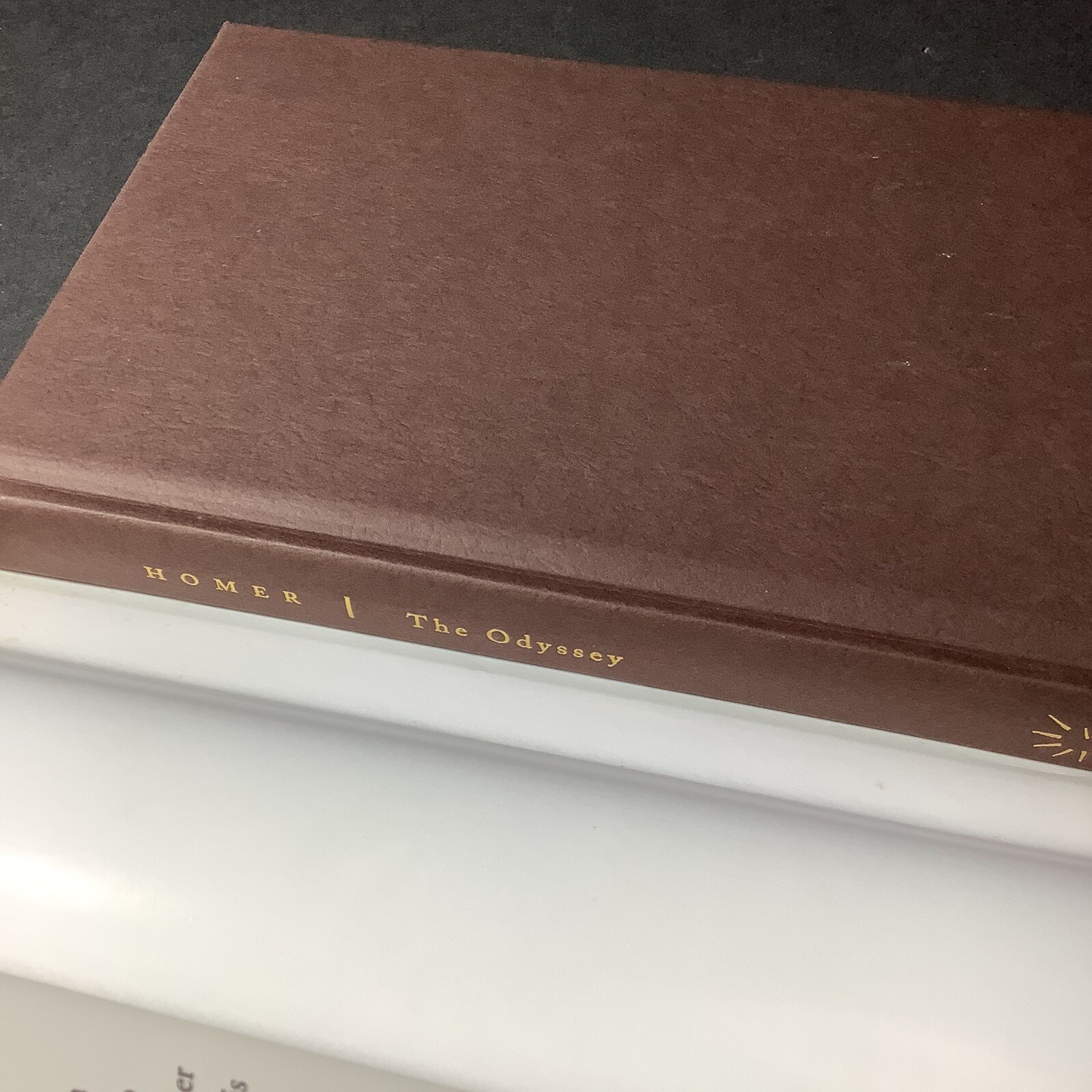 Homer The Odyssey Meijer Family Classic Hard Bound 267 Pages DJ