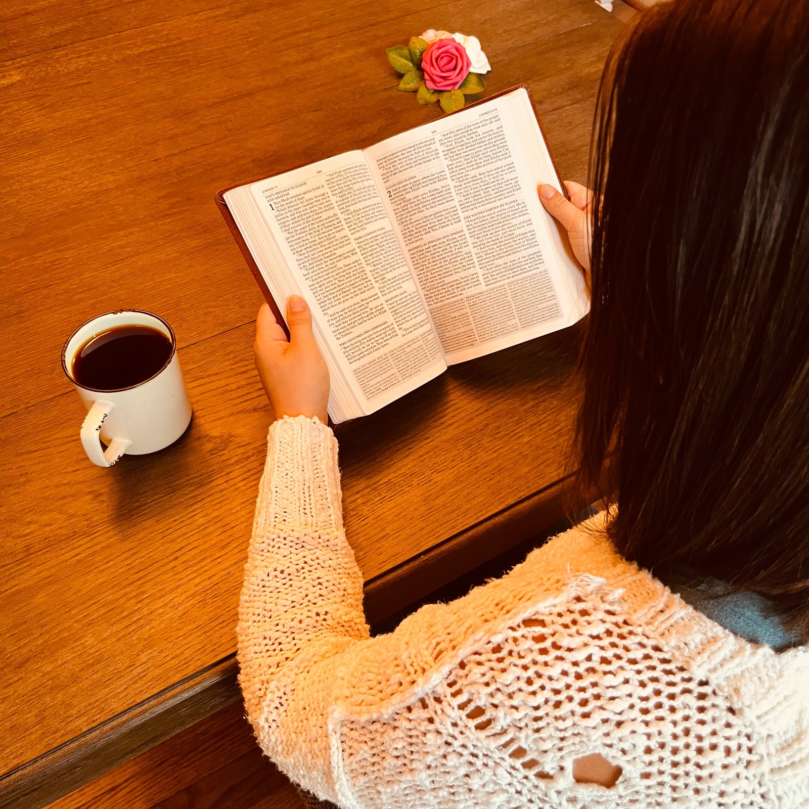 Personalized KJV Study Bible, Daughter of a King Lion Design, Name Engraved