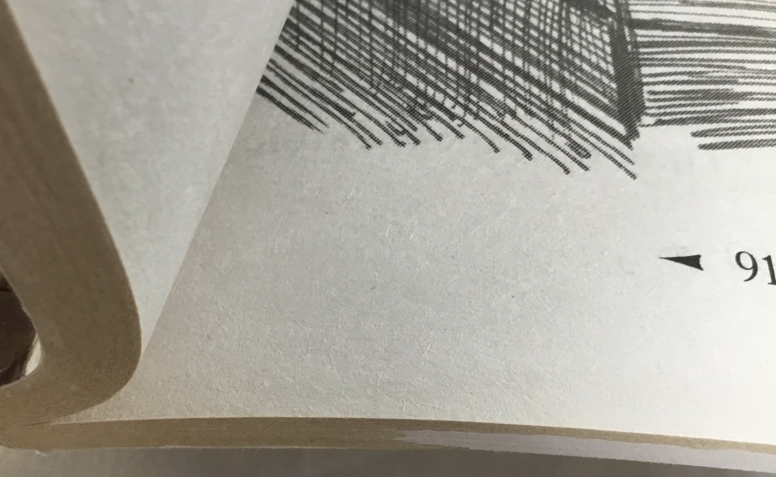 Books, Junior Classics, set of 10, age 7+, paperback, Dalmatian Press 2011- 2012