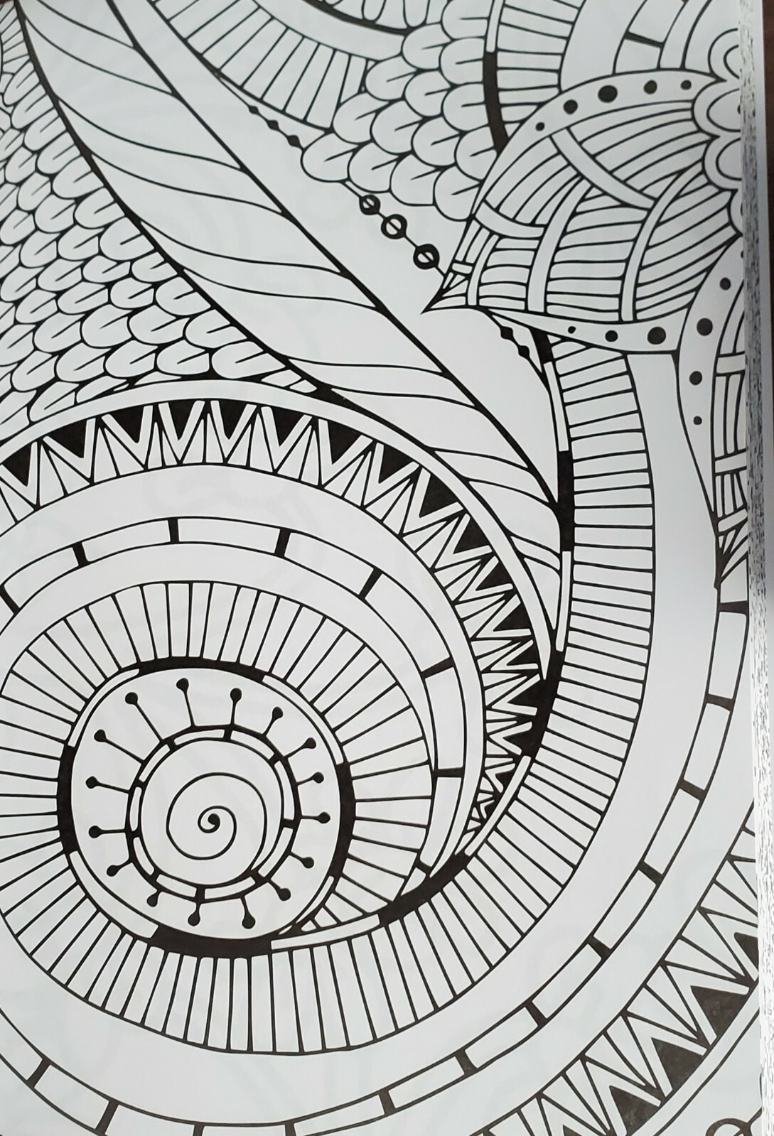 Color Your World:  Adult Coloring Book – tear-Out Pages NEW gift idea FREE SHIP