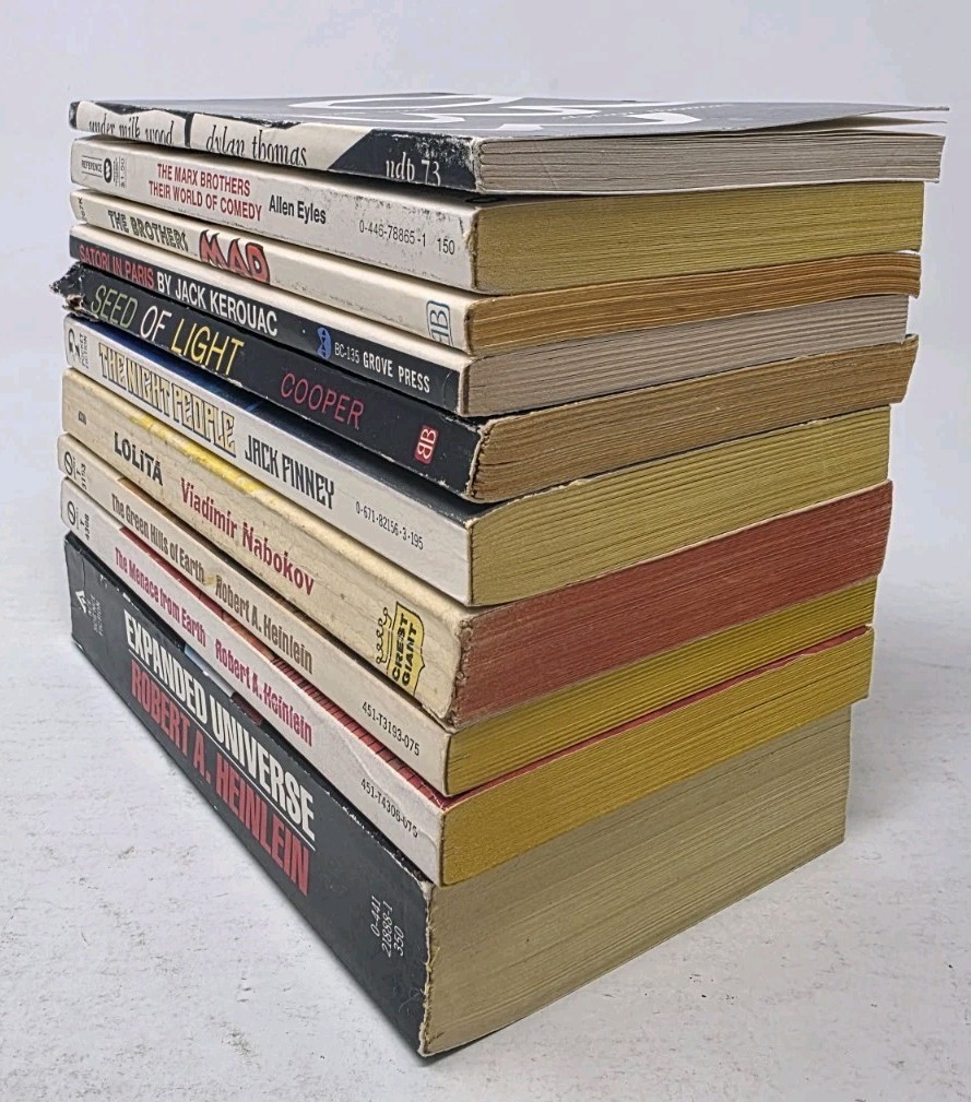 Lot of 10 Fiction Paperback Books