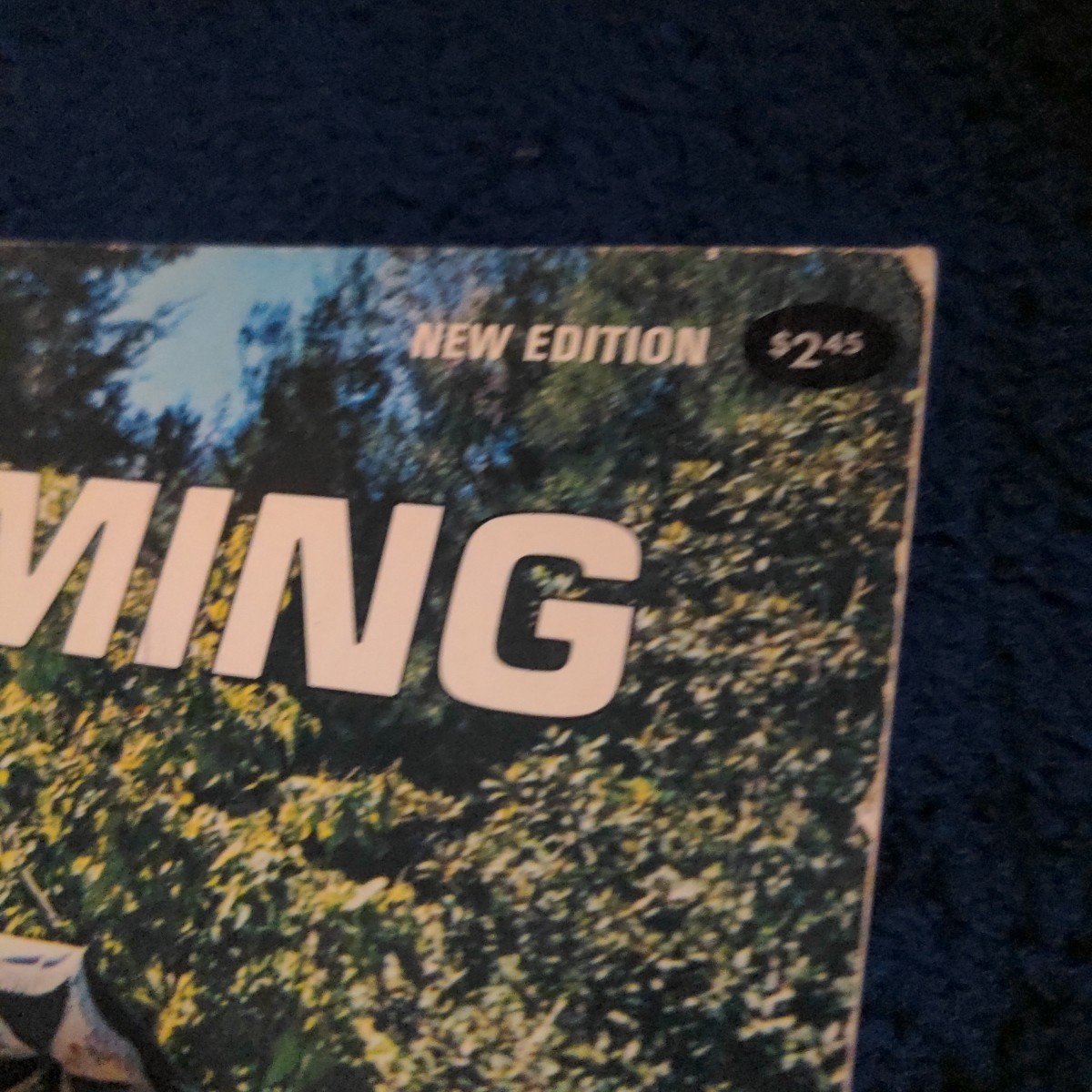 Sunset Swimming Pools Design, Landscape And Maintenance – Vintage 1970s Magazine