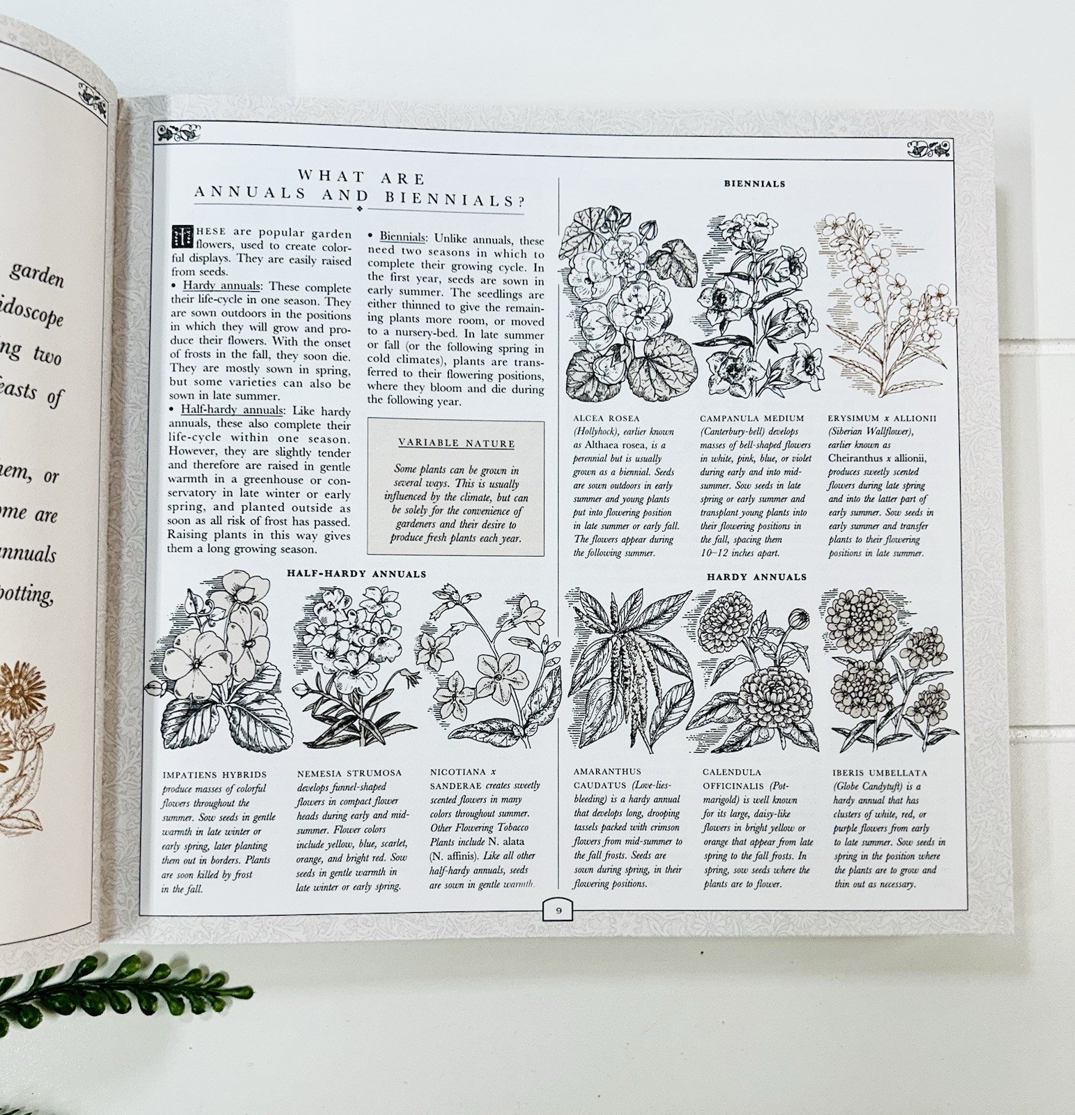 The Concise Gardening Encyclopedia ~ David Squire Flowers Roses Shrubs Trees HC